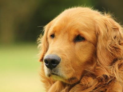 开云体育官方网站-跨越领域的统治力，当基米希在NBA总决赛之夜闪耀