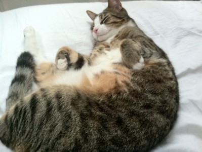 开云体育-班凯罗，当沉默的刺客亮出刀锋，凯尔特人只用了三分钟就改写了国王的命运