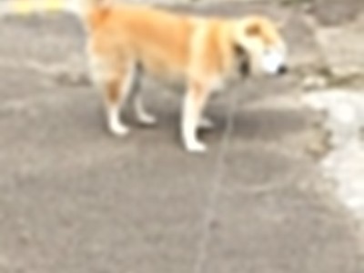 开云APP-一剑封喉！罗德里拯救比利亚雷亚尔，欧冠半决赛上演惊魂逆转