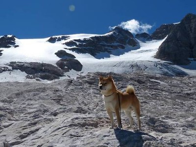 开云体育官网-节奏掌控与攻防统治，勒沃库森与萨拉赫的足球智慧