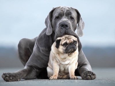 开云下载-绿茵外交，尼日利亚如何带走卡塔尔的足球雄心，与穆勒的炽热状态形成时代映照