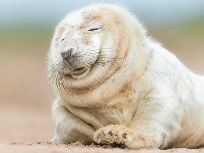 开云官网-世界排名之夜，奥纳纳用一记逆转证明自己