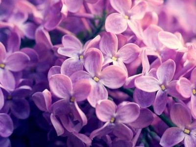 开云体育入口-决胜局狂飙！广东队带走胜利，浓眉化身关键先生