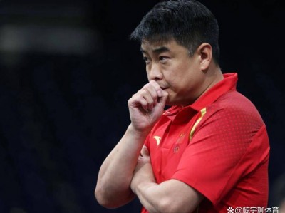 开云体育官方网站-德国乒乓球队翻盘中国乒乓球队，王皓高光表现的简单介绍