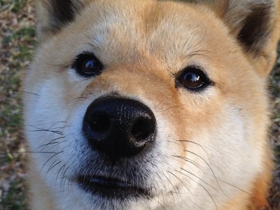 开云体育入口-篮网复仇记与恩比德觉醒，东部权杖的激烈更迭