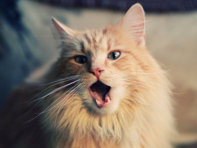 开云平台-剑锋所指，欧冠半决赛夜的大场面先生德布劳内