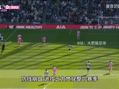 开云体育-南安普顿平局收官,提前确保英超续约