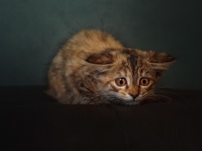 开云平台-夜战烽火，拉什福德压制级表演点亮世界排名生死局