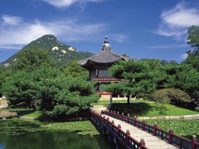 开云体育官方网站-卡拉斯科一锤定音，橙色火焰如何在波斯铁壁前点燃胜利之光