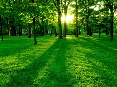 开云体育登录-范戴克筑起叹息之墙，波兰战术艺术全面压制韩国的铁血启示录