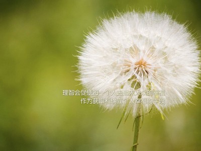 开云体育官方网站-字母哥创里程碑之夜，骑士三节打崩76人，新时代的号角与旧秩序的挽歌