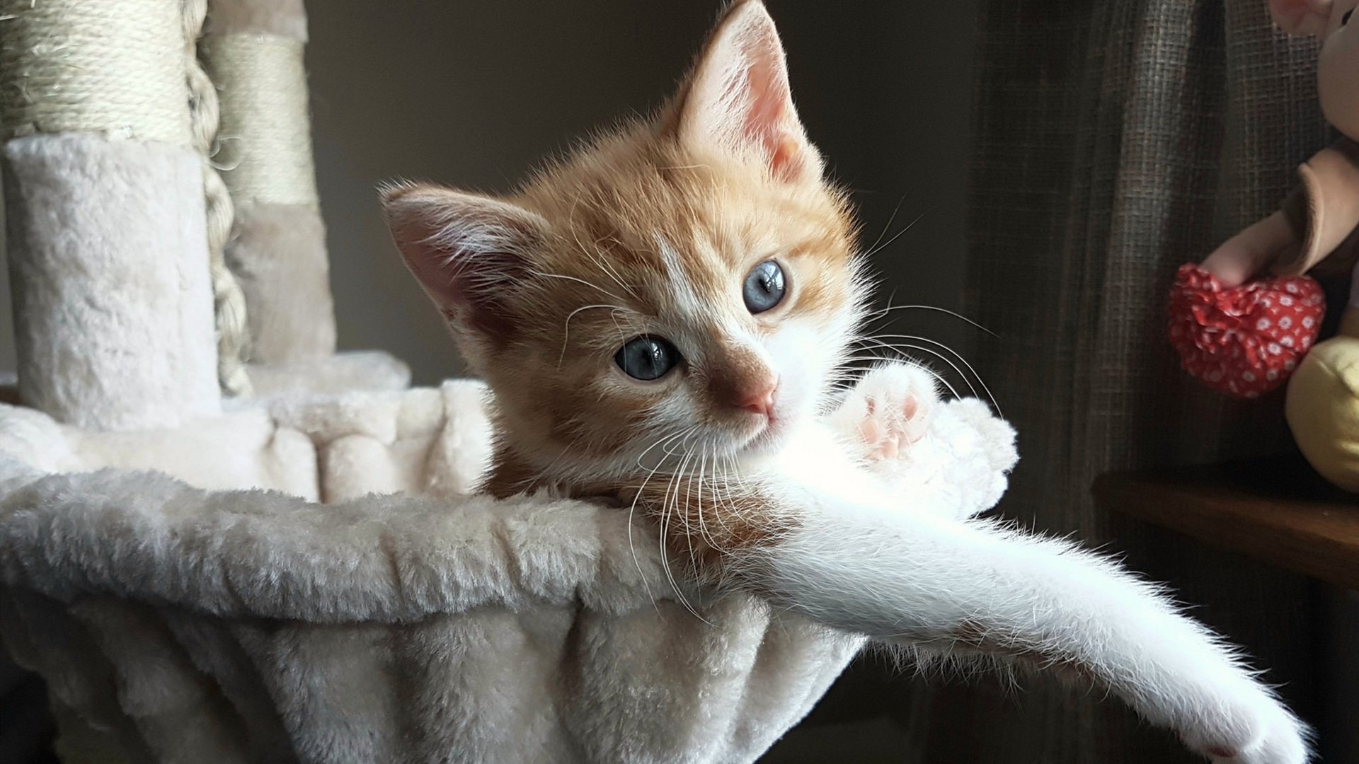 西甲国家德比之夜，星辰对决的东方血脉