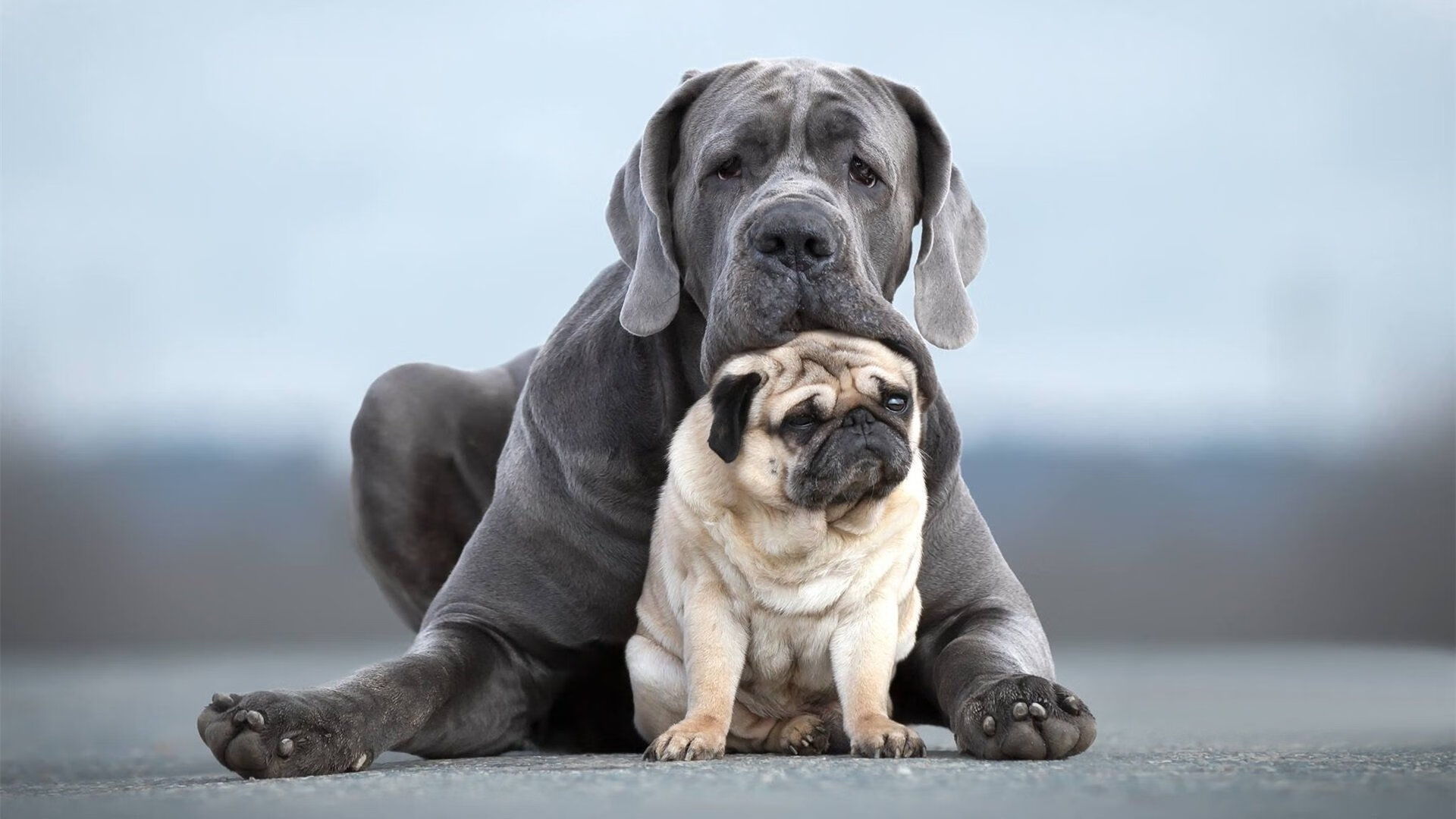 绿茵外交，尼日利亚如何带走卡塔尔的足球雄心，与穆勒的炽热状态形成时代映照