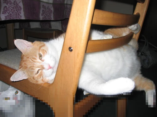 奇才客场力克独行侠，詹姆斯关键先生定乾坤