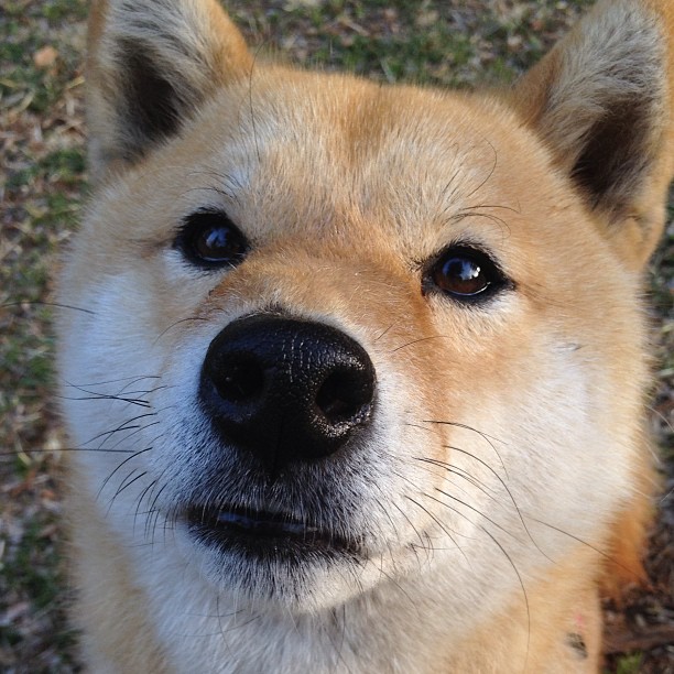 篮网复仇记与恩比德觉醒，东部权杖的激烈更迭