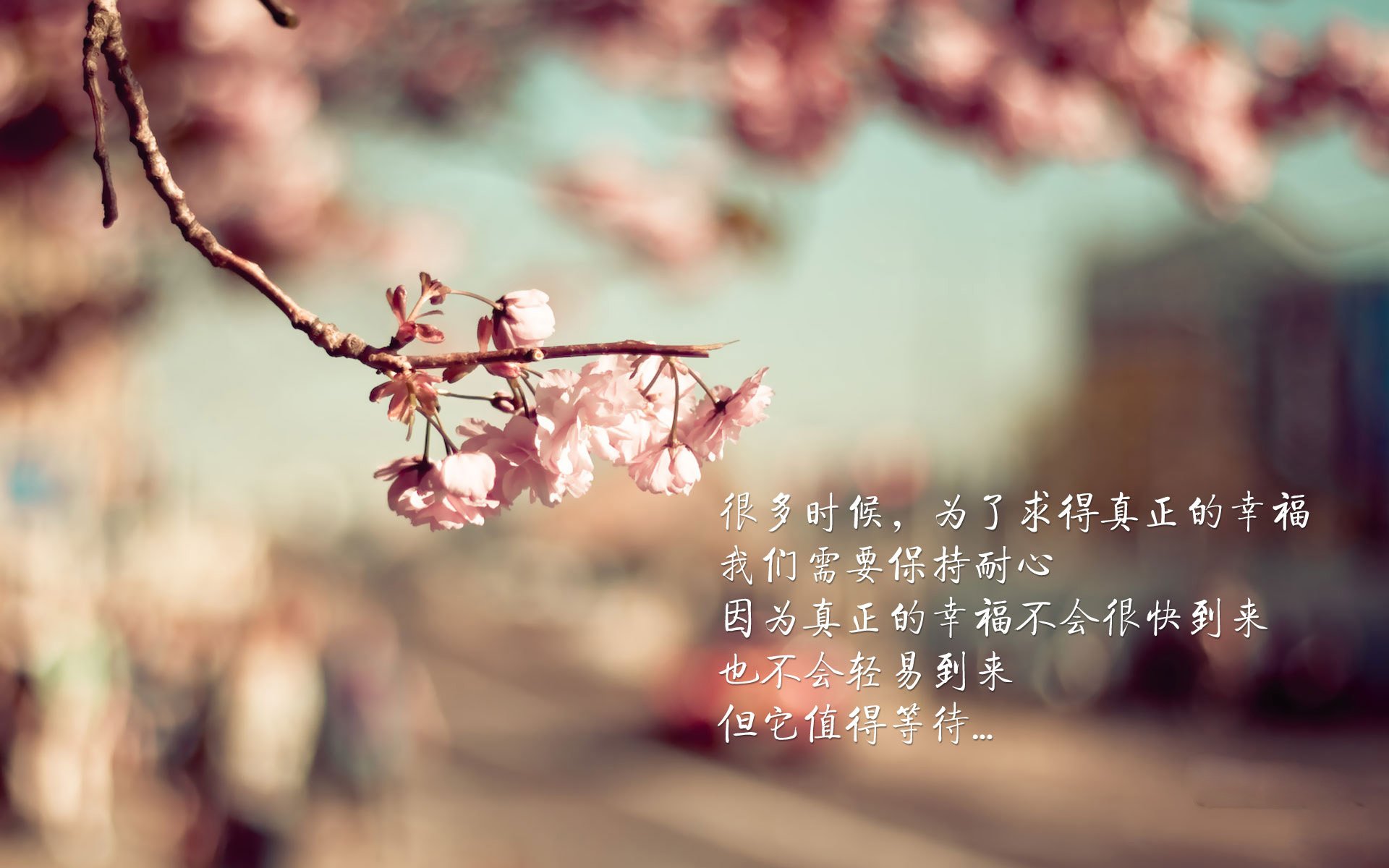 特奥一锤定音，曼城卫冕梦碎，那个夜晚，他不再是任何人的影子