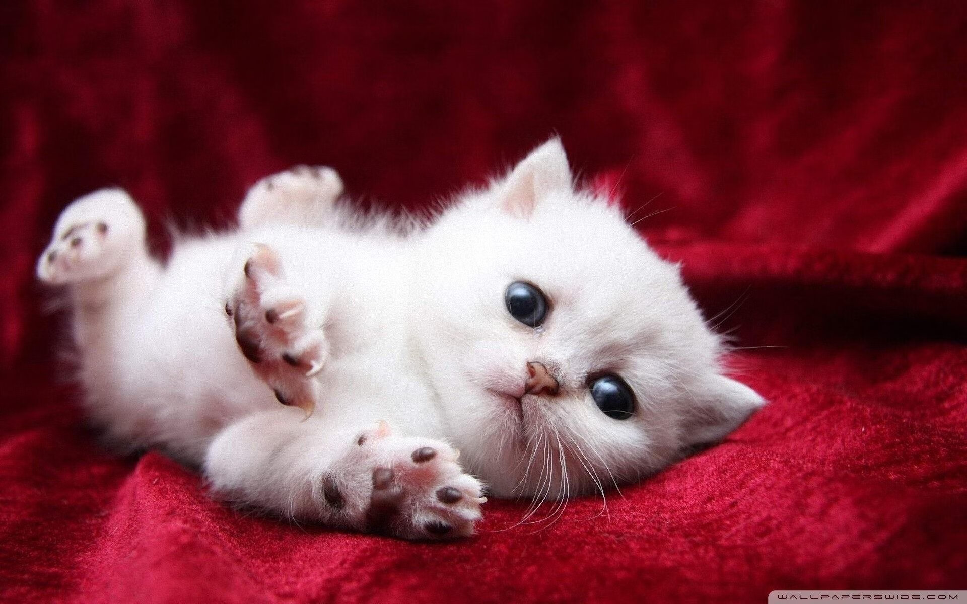 乔治关键狂飙导逆转，勇士斩落深圳捍卫主场