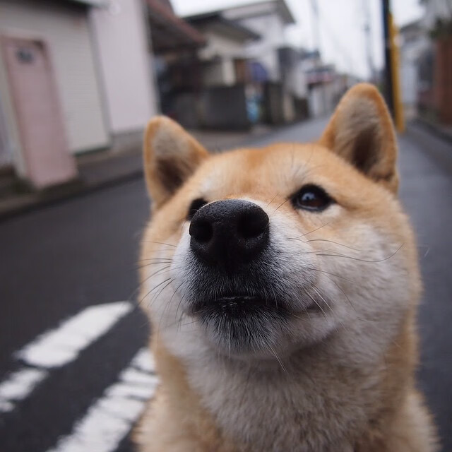 英格拉姆闪耀全场无可争议，尼克斯攻防一体轻取新疆队