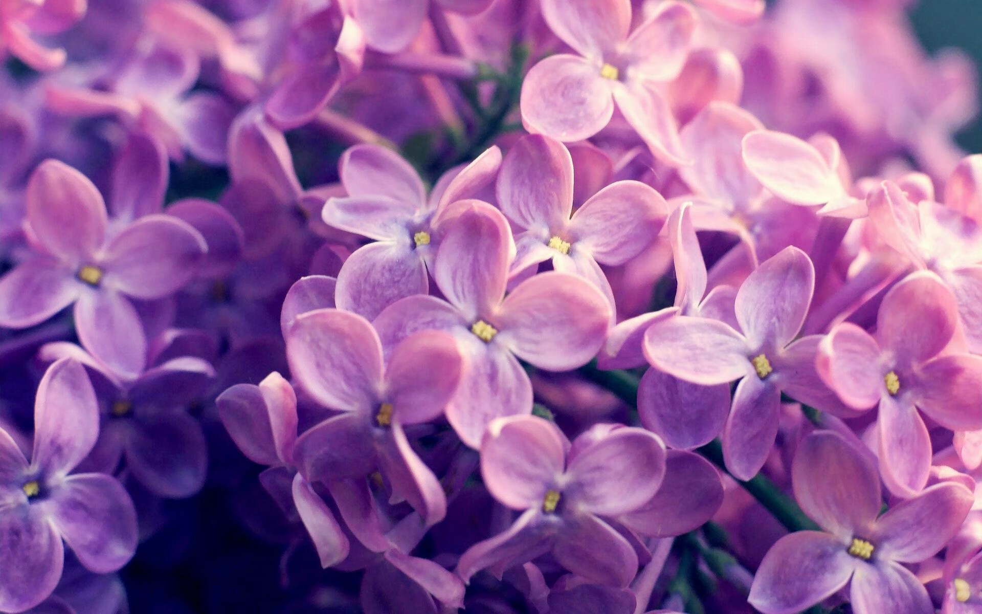 决胜局狂飙！广东队带走胜利，浓眉化身关键先生