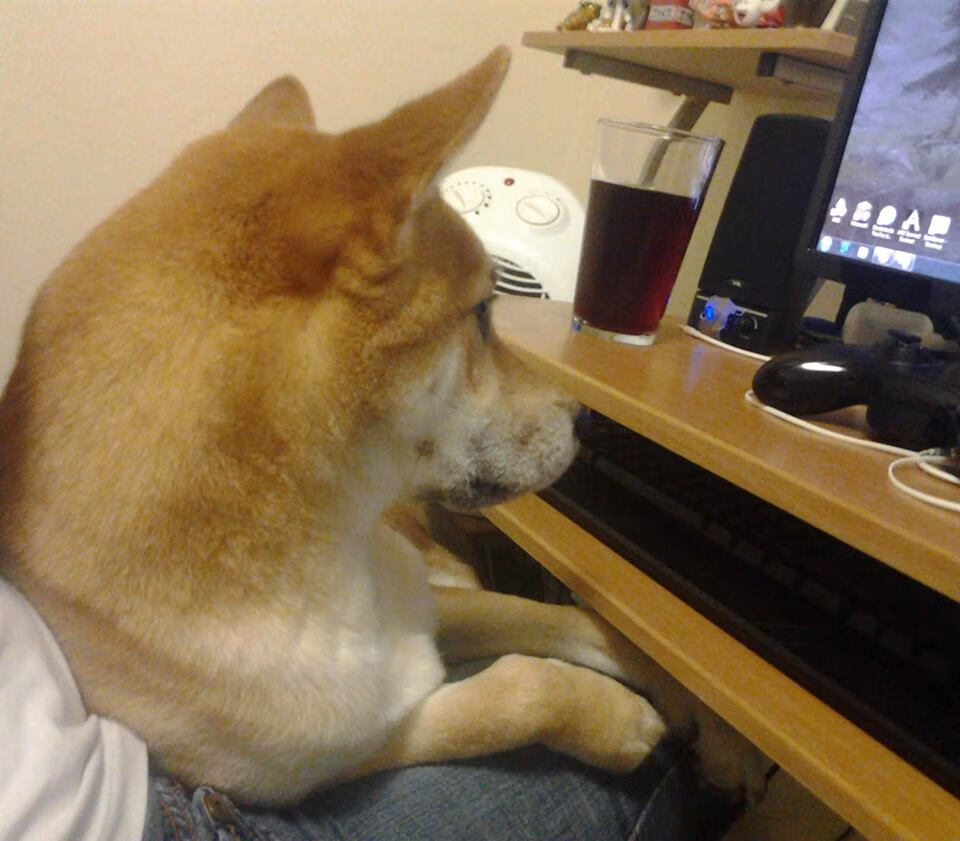 厄瓜多尔新星收割摩纳哥！F1揭幕战惊现小国风暴