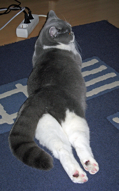 姆巴佩的致命弧线，一场虚拟对决如何折射地缘政治足球的荒诞现实