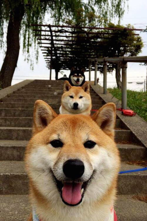 辽宁铁蹄踏平开拓者，乔治临危救主化身关键先生