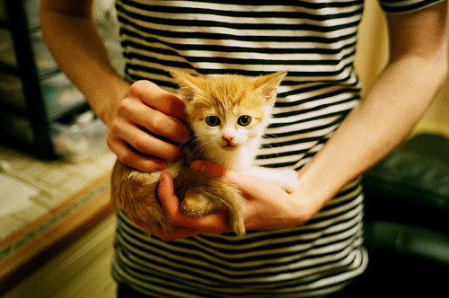 东方魔法席卷沙之王国，三笘薰一击定乾坤，日本沙漠中力擒北非之狐