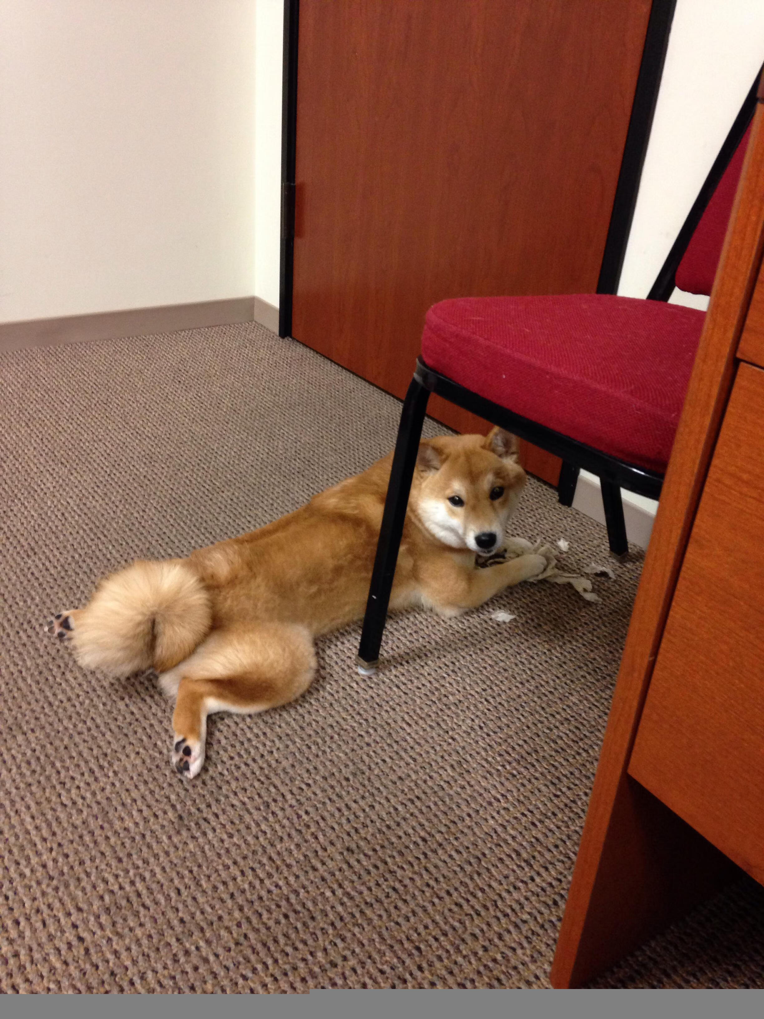 独赢，当决胜局需要英雄，他便走来