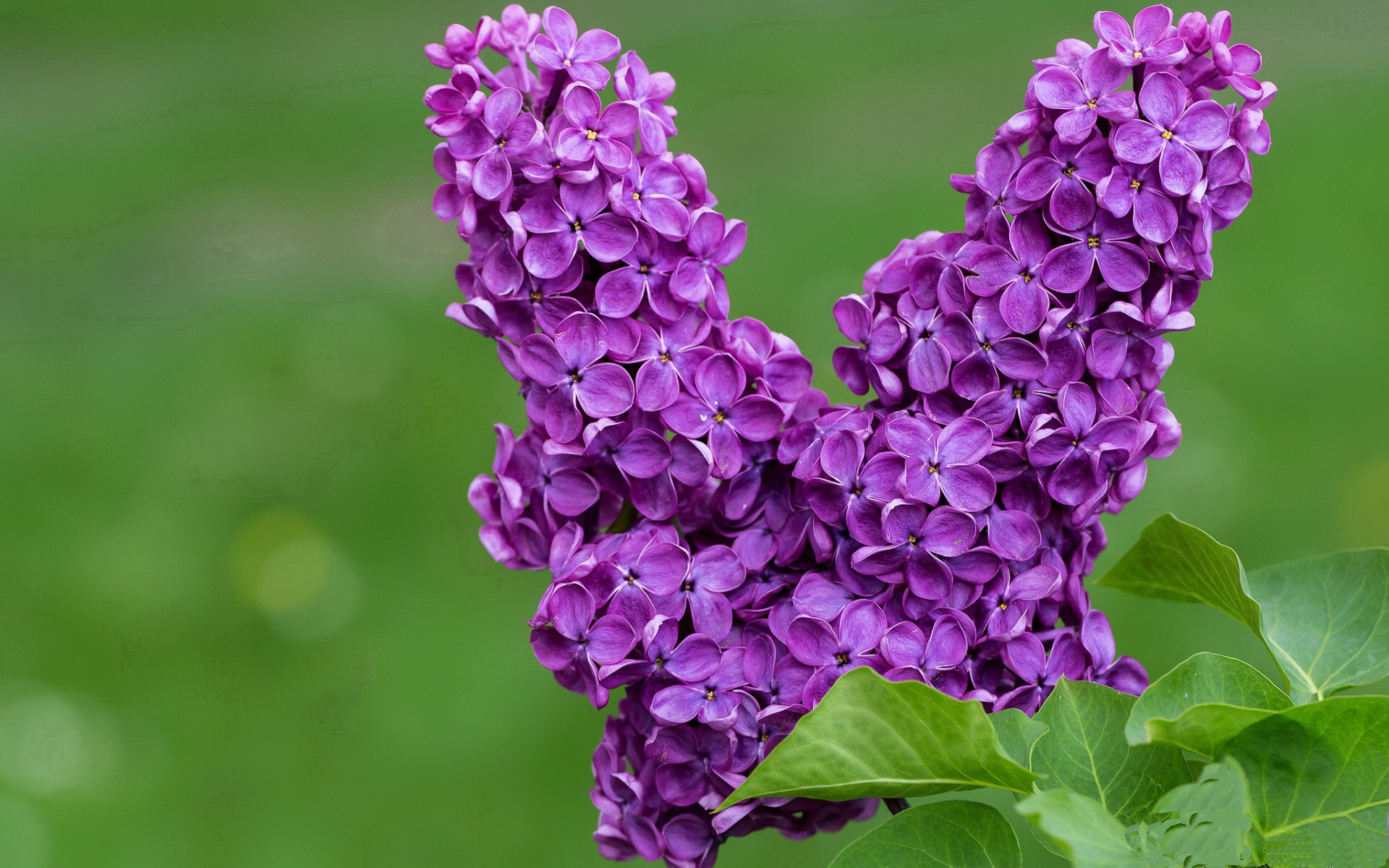 当不朽遇见无解，詹姆斯史诗夜与篮球之神的对话