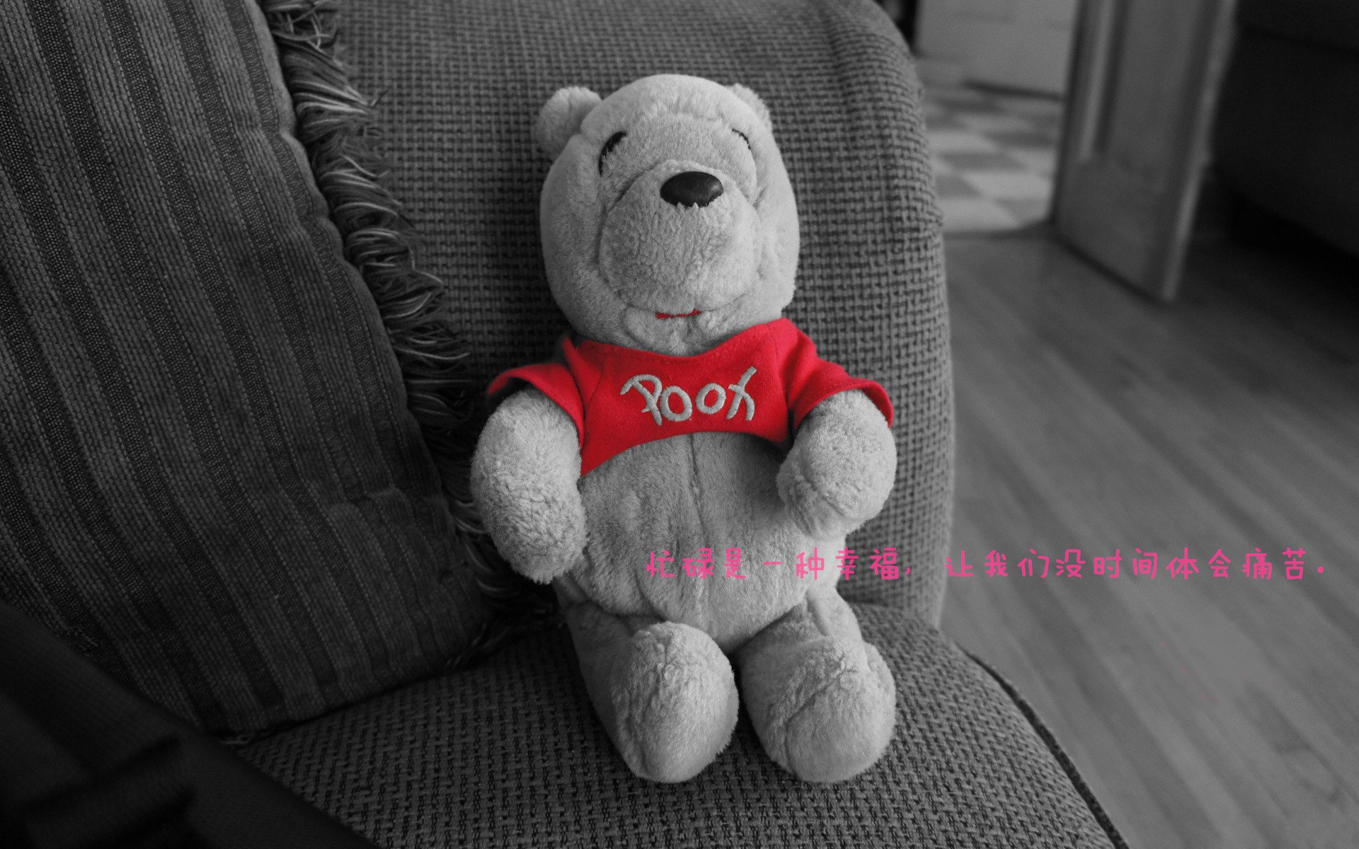 跨界风云，曼联力克葡萄牙，加克波F1揭幕战惊艳称霸