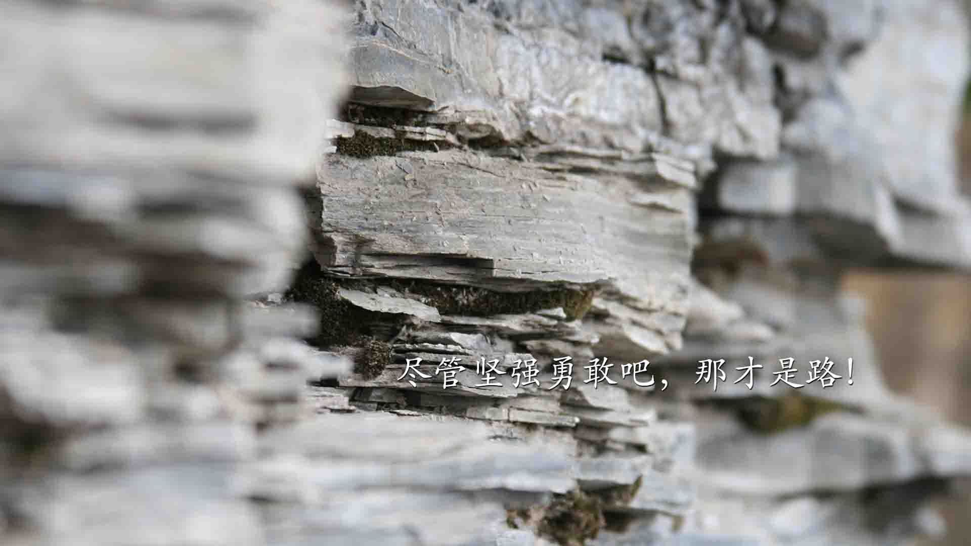 东岸篮网摧枯拉朽，西岸詹皇君临天下