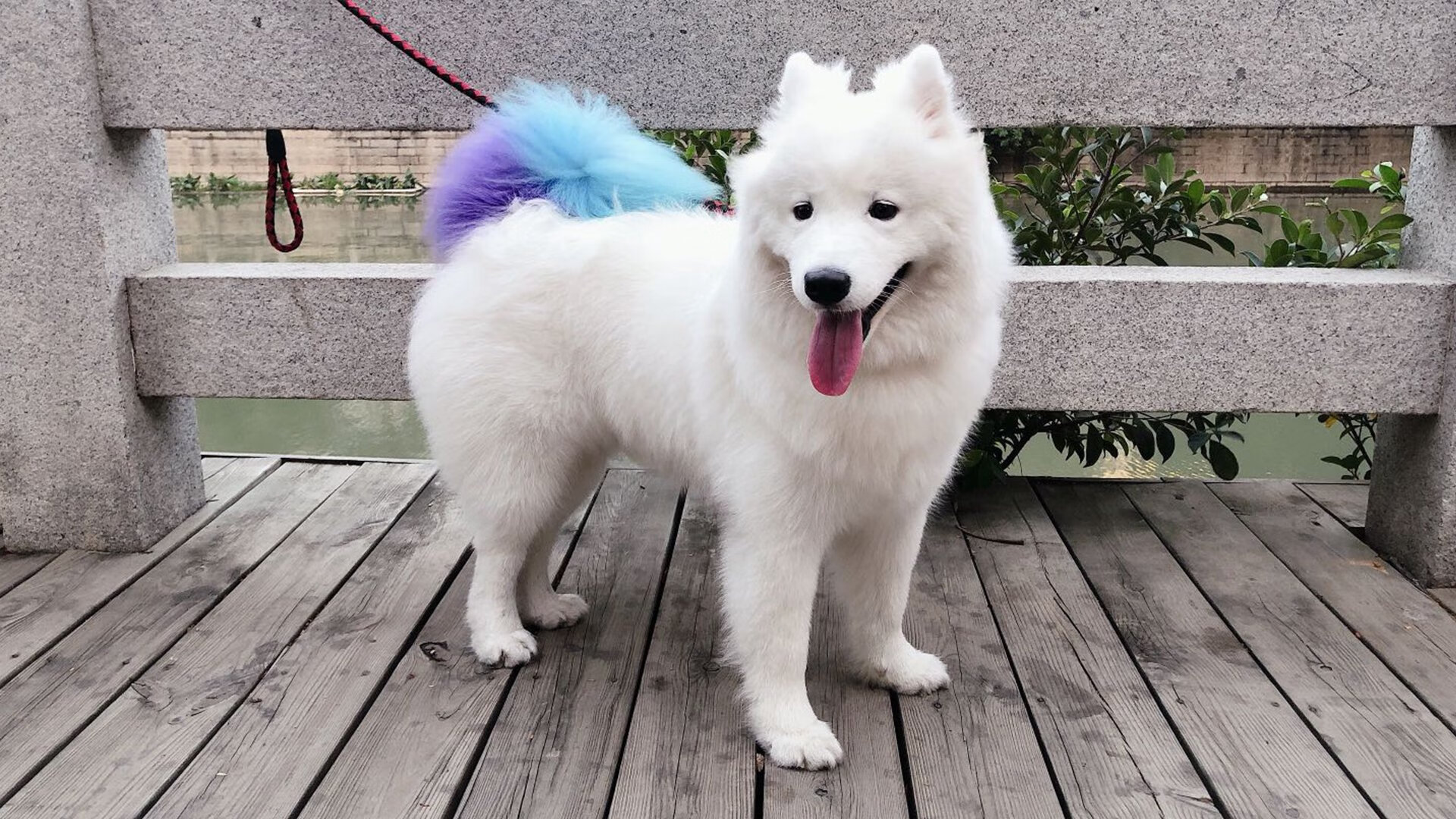 他面无表情擦去血迹，耳边却已响起征服欧洲的浩荡回响—欧冠半决赛的君王诞生记