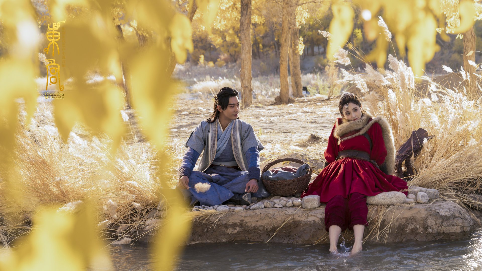 篮球之火,从CBA到德甲,不同战场以不同方式点燃